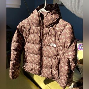 The North Face Hydrenalite Down Hooded Full Zip Monogram TNF Logo Puffer